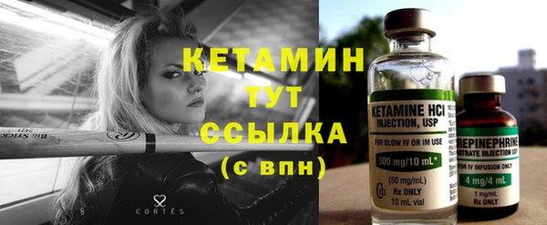 сатива Дмитриев
