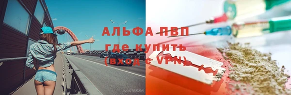 сатива Дмитриев