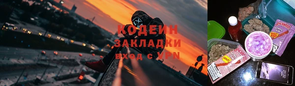 сатива Дмитриев