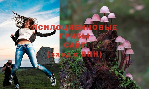 сатива Дмитриев