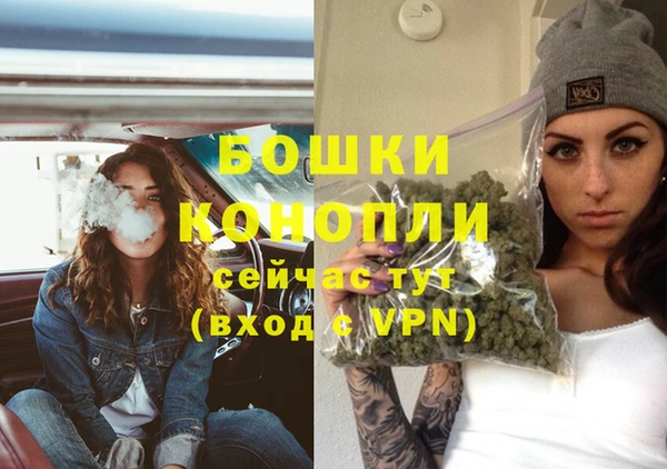 сатива Дмитриев
