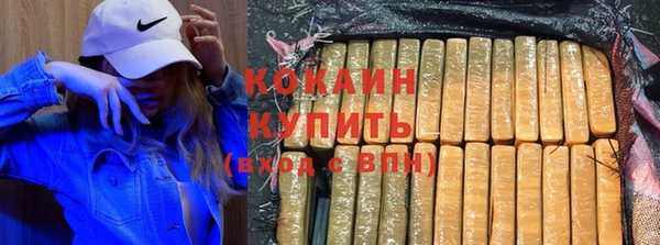 сатива Дмитриев