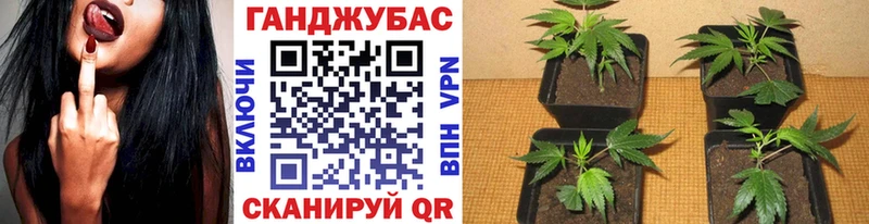 Бошки марихуана OG Kush  купить наркотик  Ивантеевка 